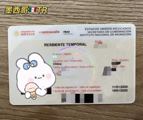 2026年美加墨世界杯期间，墨西哥入境卡（FMM）是每位国际旅客入境墨西哥的官方